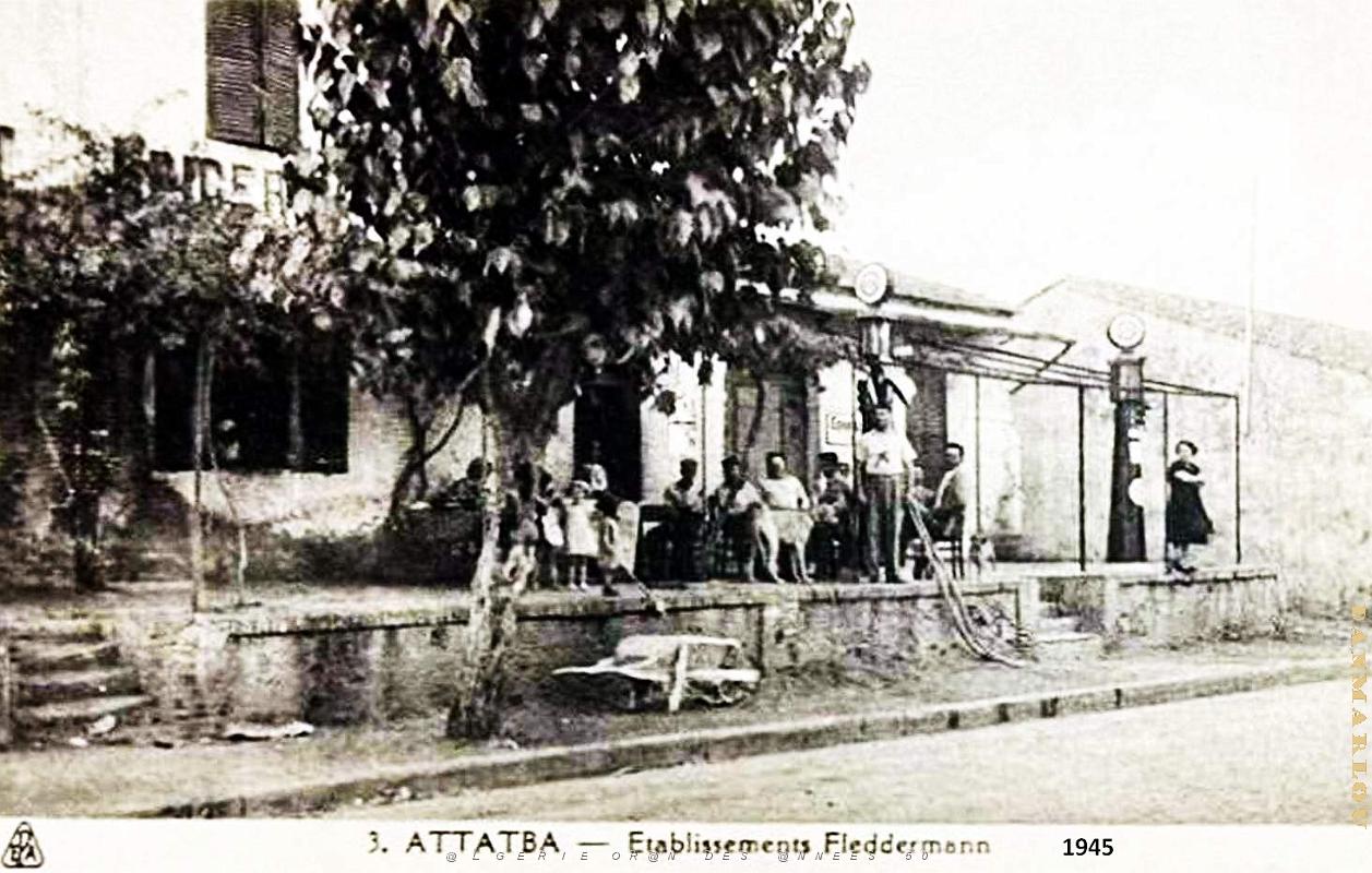 Attatba - etablissement Fleddermann - 1945.jpg